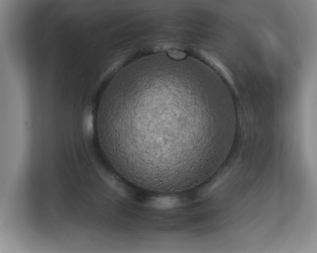 X0000112730067200908271436