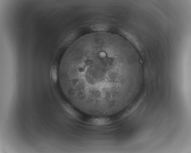 X0000112730069200908271436