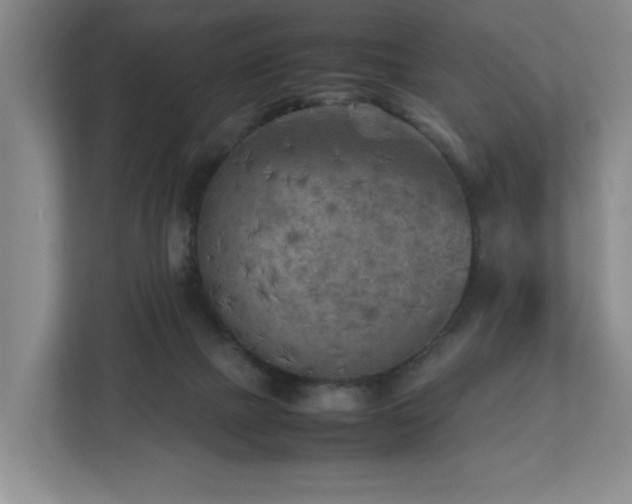 X0000112730073200908271437