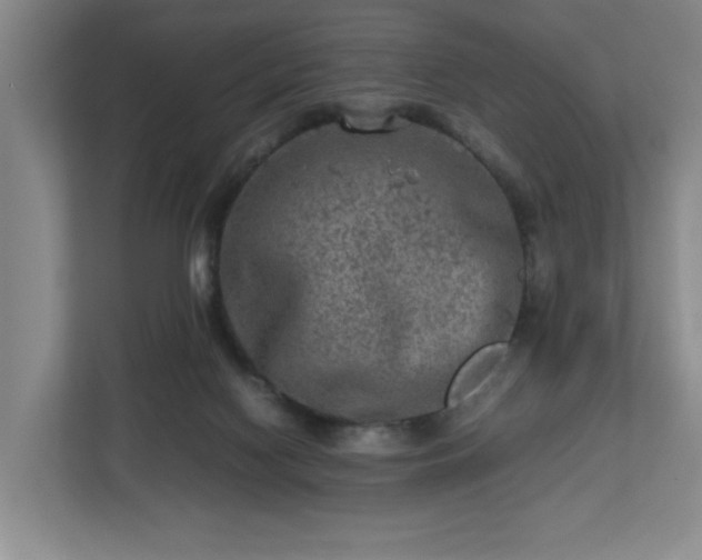 X0000112730074200908271437