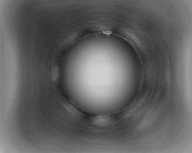 X0000112730077200908271437