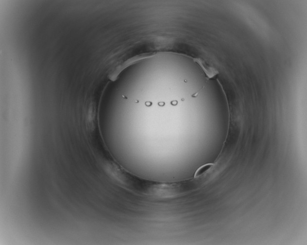 X0000112730082200908271437