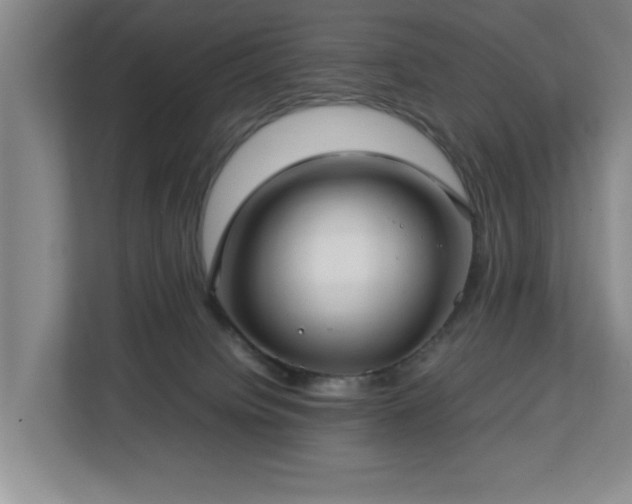 X0000112730084200908271437