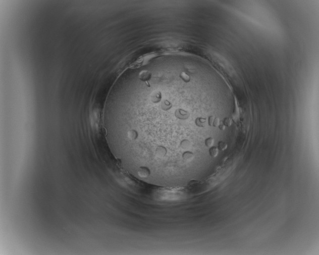 X0000112730093200908271437