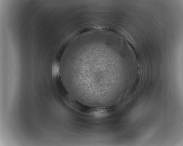 X0000112730095200908271437