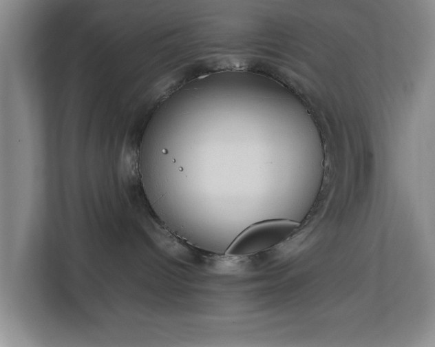 X0000112730096200908271437