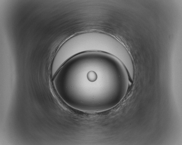 X0000112730097200908271436