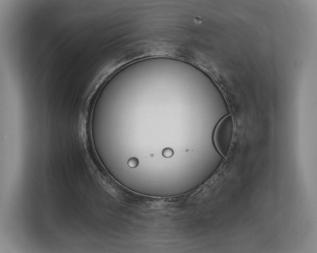 X0000112730098200908271436