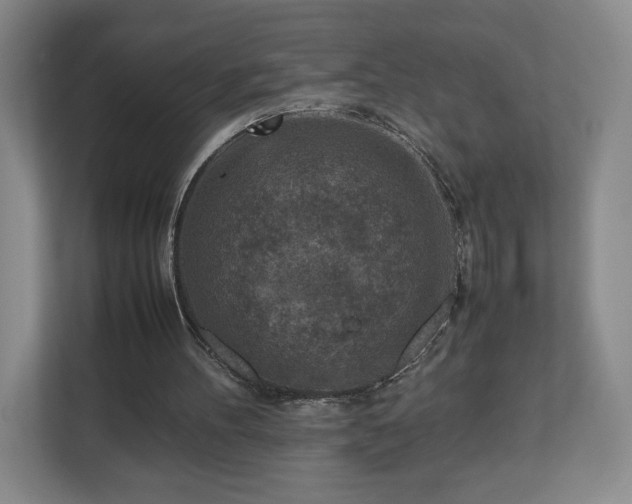 X0000112730100200908271436