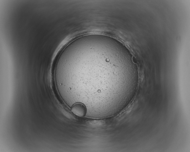 X0000112730102200908271436