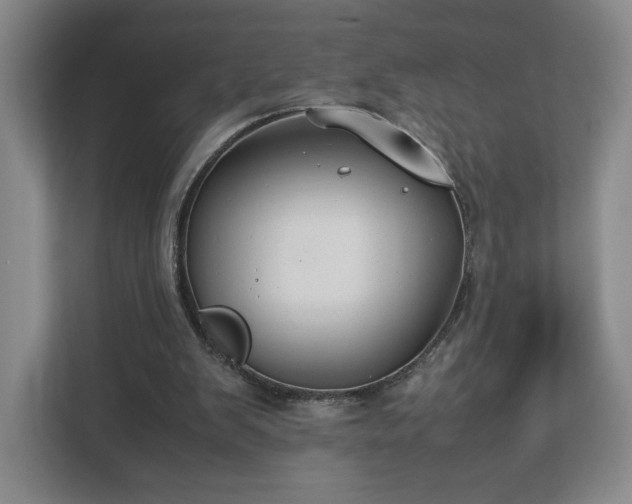 X0000112730103200908271436