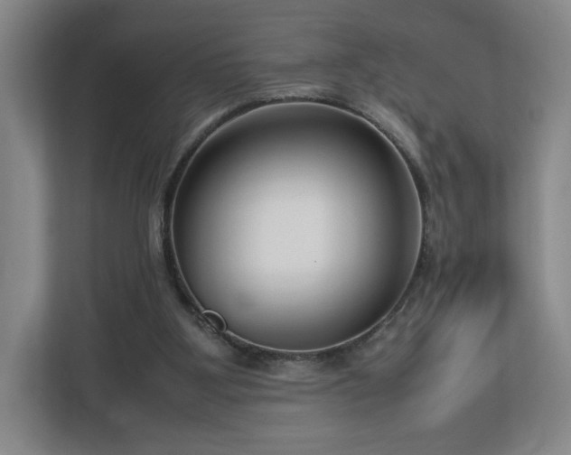 X0000112730107200908271436