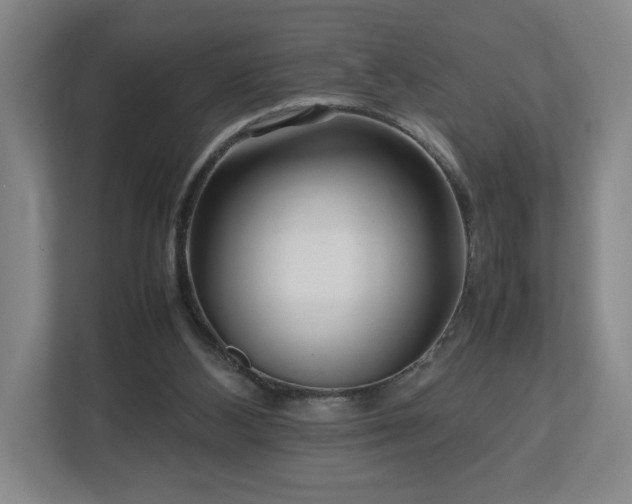 X0000112730108200908271436