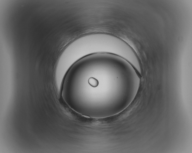 X0000112730109200908271436