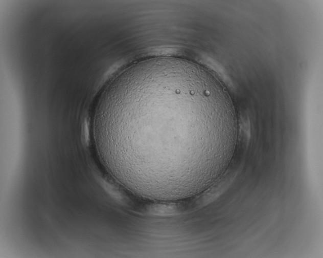 X0000112730110200908271436