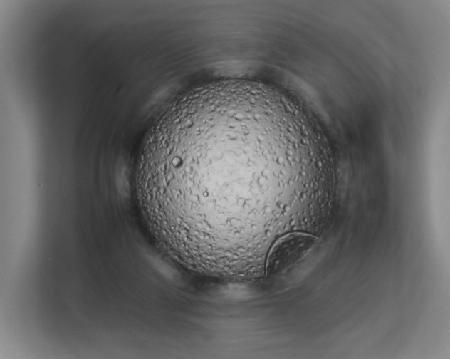 X0000112730114200908271436