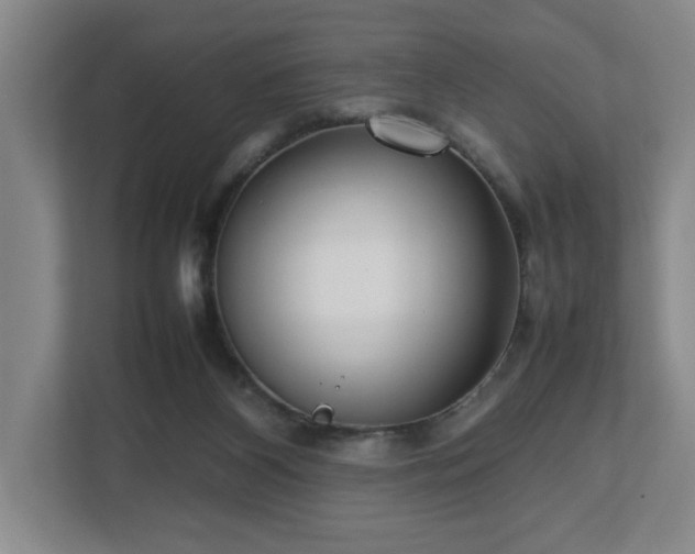 X0000112730116200908271436