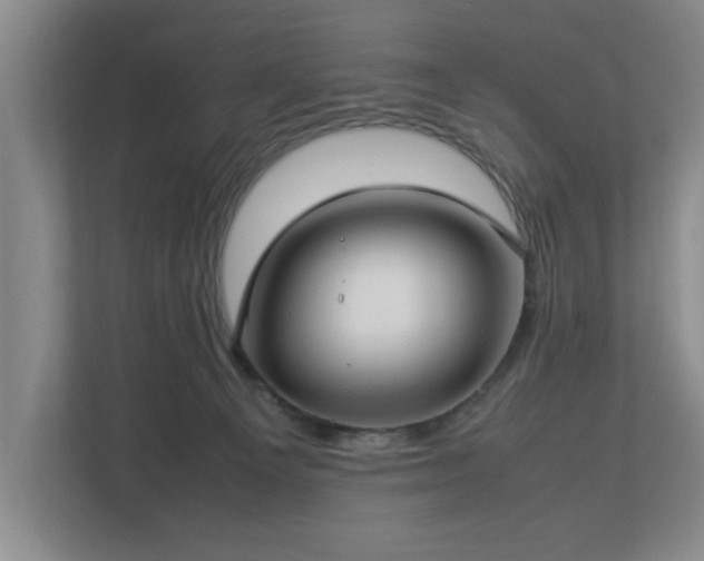 X0000112730129200908271436