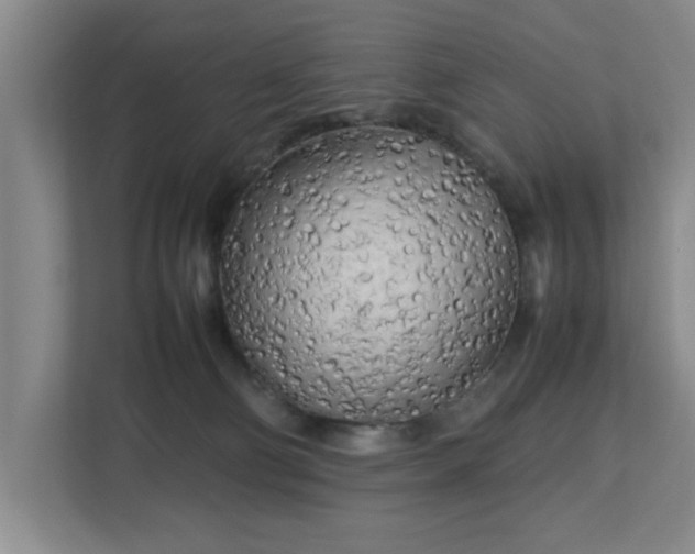 X0000112730130200908271436