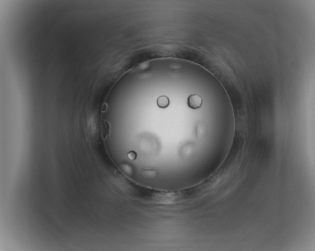 X0000112730131200908271436