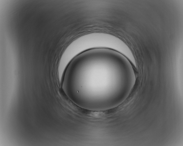 X0000112730137200908271436