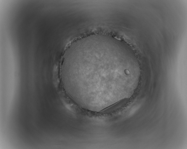 X0000112730144200908271436