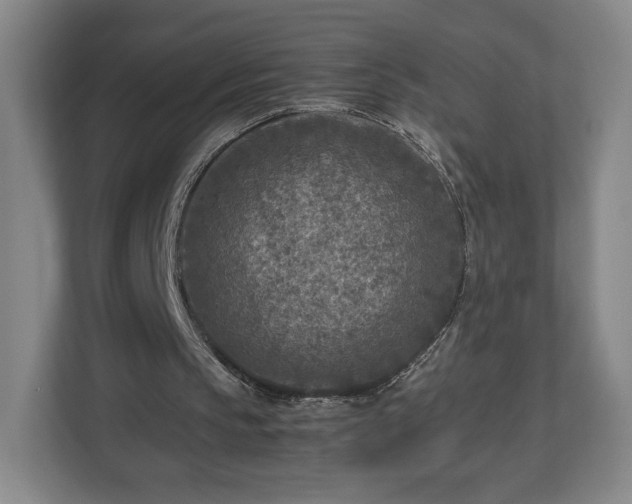 X0000112730145200908271435