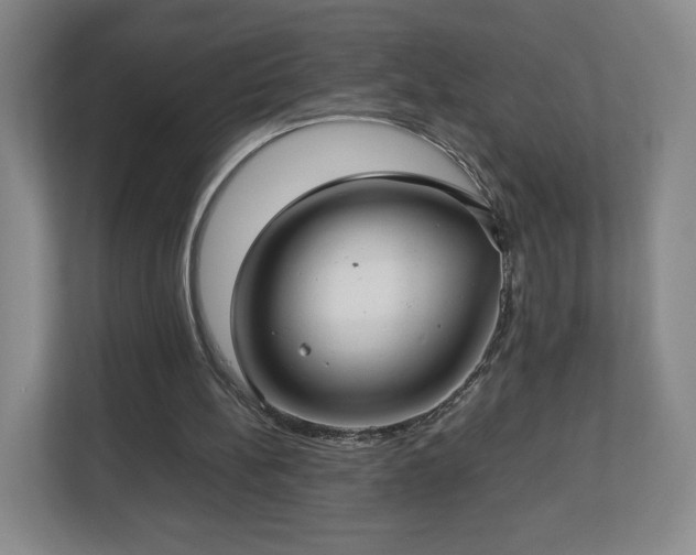 X0000112730148200908271435