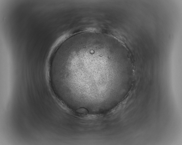 X0000112730149200908271435