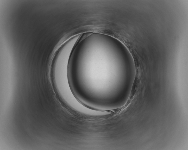 X0000112730150200908271435