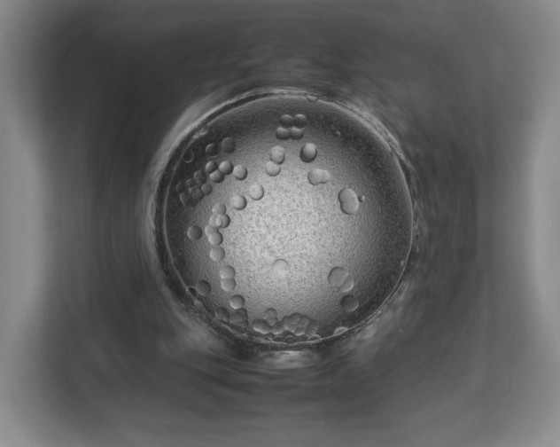 X0000112730151200908271435