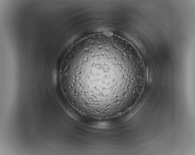 X0000112730157200908271435