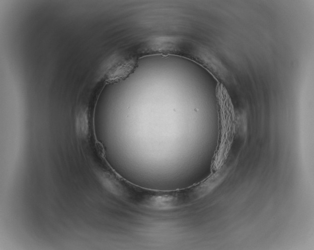 X0000112730158200908271435