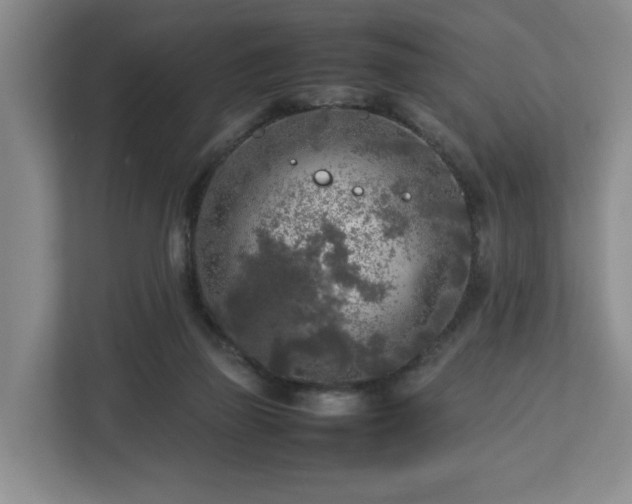 X0000112730165200908271435