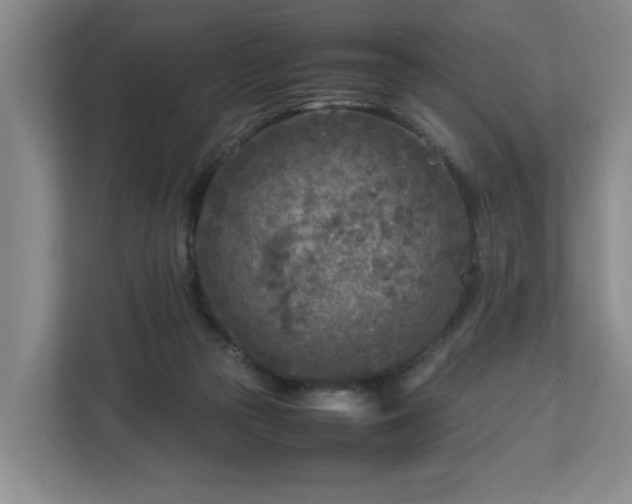 X0000112730169200908271435