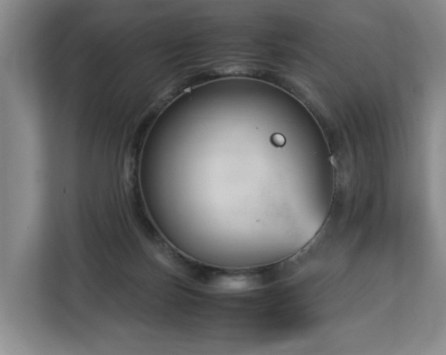 X0000112730171200908271435