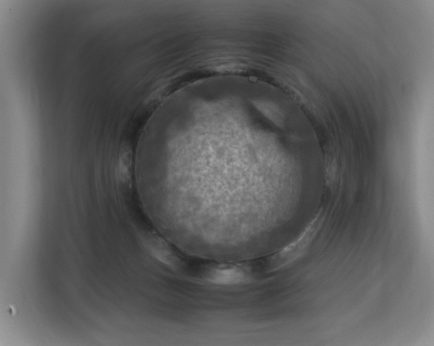 X0000112730175200908271435