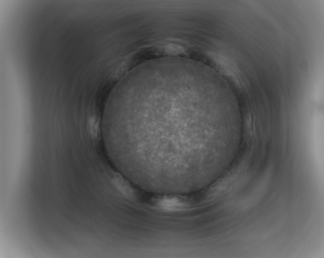 X0000112730177200908271435