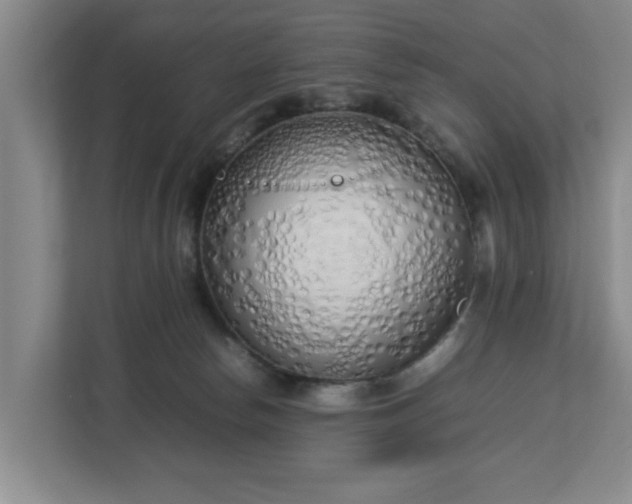 X0000112730178200908271435