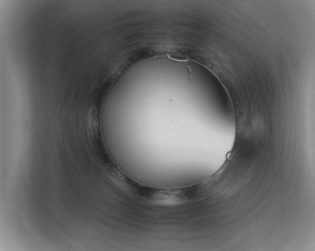 X0000112730179200908271435