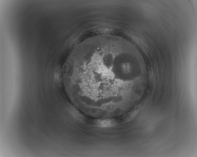 X0000112730181200908271435