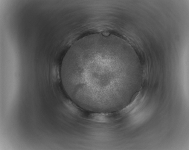 X0000112730182200908271435