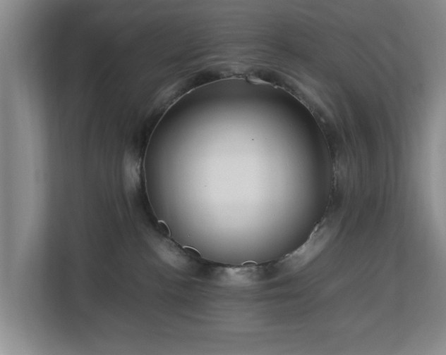 X0000112730188200908271436