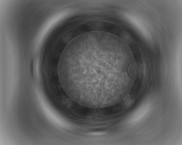 X0000112730189200908271436