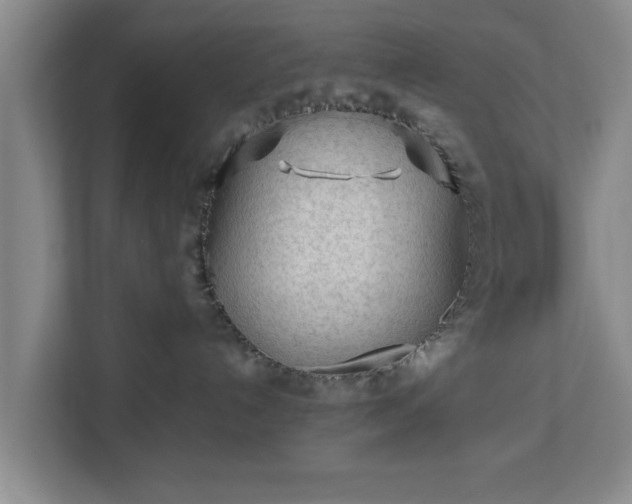 X0000112730192200908271436