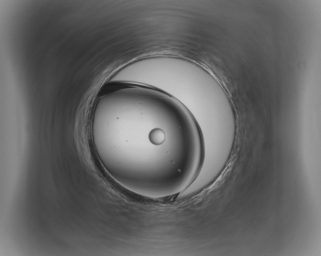 X0000112730193200908271435