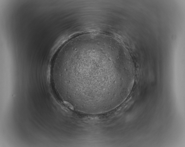 X0000112730194200908271435