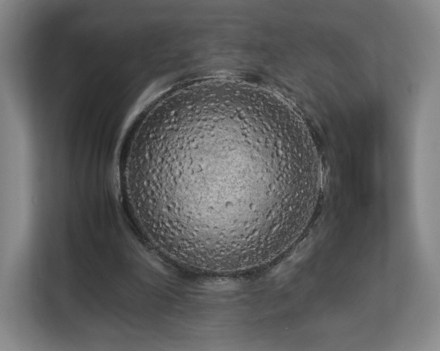 X0000112730198200908271435