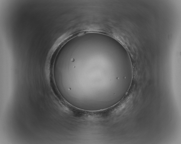 X0000112730199200908271435