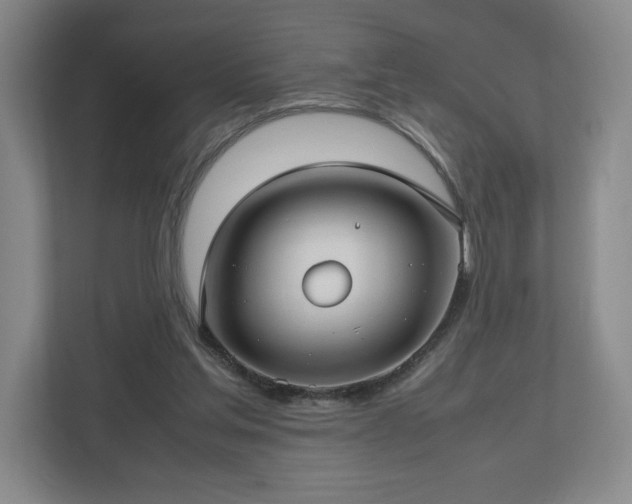 X0000112730205200908271435